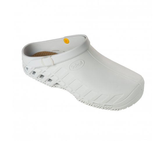SCHOLL